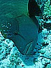 IMG_1358.JPG