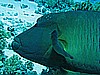 IMG_1359.JPG