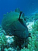 IMG_1360.JPG