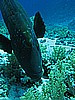 IMG_1361.JPG
