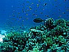 IMG_1362.JPG
