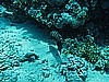 IMG_1367.JPG