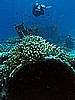 IMG_1368.JPG