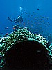 IMG_1369.JPG