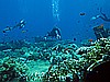 IMG_1370.JPG