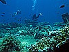 IMG_1371.JPG
