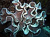 IMG_1373.JPG