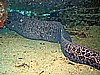 IMG_1381.JPG