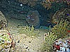 IMG_1382.JPG