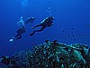 IMG_1384.JPG