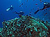 IMG_1385.JPG