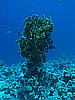 IMG_1391.JPG