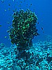 IMG_1392.JPG
