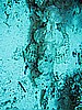 IMG_1393.JPG