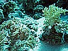 IMG_1394.JPG