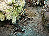 IMG_1407.JPG
