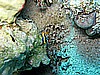 IMG_1409.JPG
