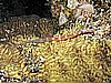 IMG_1410.JPG