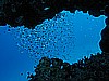 IMG_1412.JPG