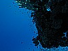 IMG_1415.JPG