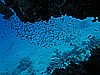 IMG_1416.JPG