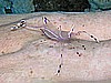 IMG_1418.JPG
