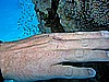 IMG_1418_1.jpg