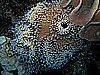 IMG_1419.JPG