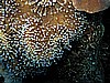 IMG_1420.JPG