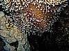 IMG_1421.JPG