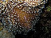 IMG_1422.JPG