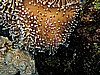 IMG_1424.JPG