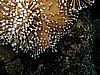 IMG_1425.JPG