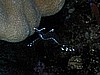 IMG_1426.JPG