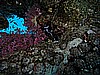 IMG_1427.JPG