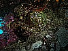 IMG_1428.JPG