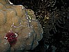 IMG_1429.JPG