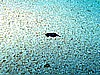 IMG_1432.JPG