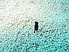 IMG_1433.JPG