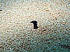 IMG_1435.JPG