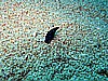 IMG_1439.JPG