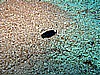 IMG_1440.JPG