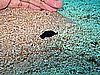 IMG_1441.JPG