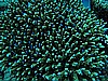 IMG_1445.JPG