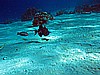 IMG_1446.JPG