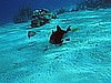 IMG_1447.JPG