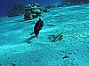 IMG_1448.JPG