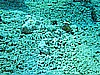 IMG_1449.JPG