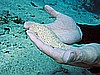IMG_1452.JPG
