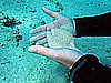 IMG_1453.JPG